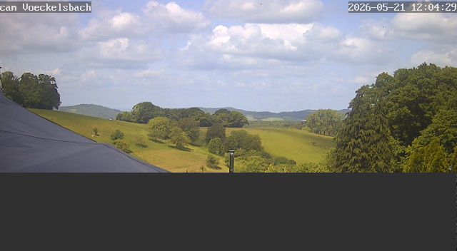 Netcam